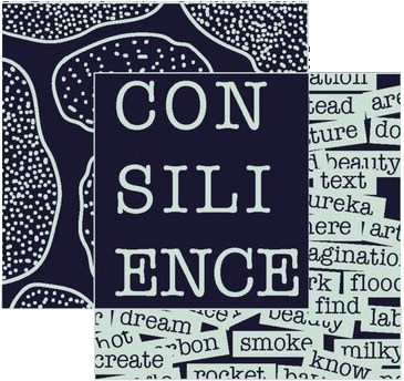 Consilience. Exploring the spaces where the sciences and the arts meet